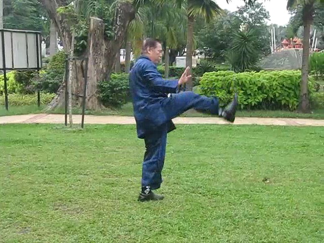 Shaolin 36 Leg Techniques